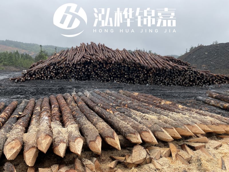 6米長松木樁有哪些作用，多少錢一根？