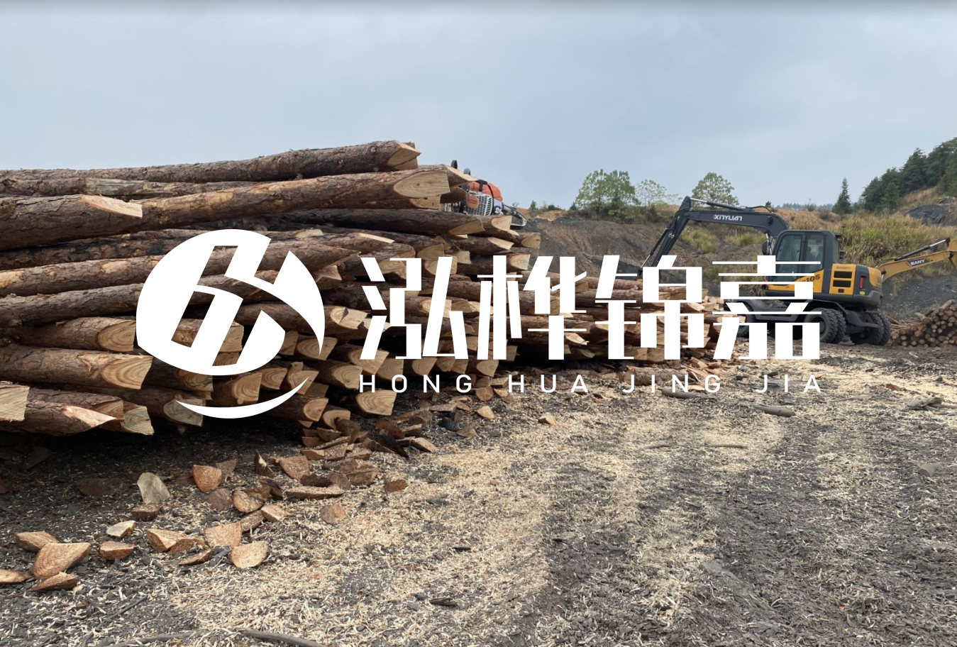 松木樁尾徑是什么意思？