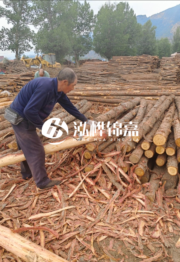 九江河底清理淤泥施工隊-河道清淤85元一方能干嗎？