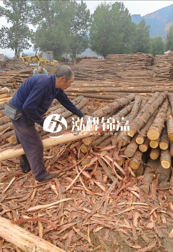 東營河道清淤專業施工隊-不同型號挖機清淤能力對比？