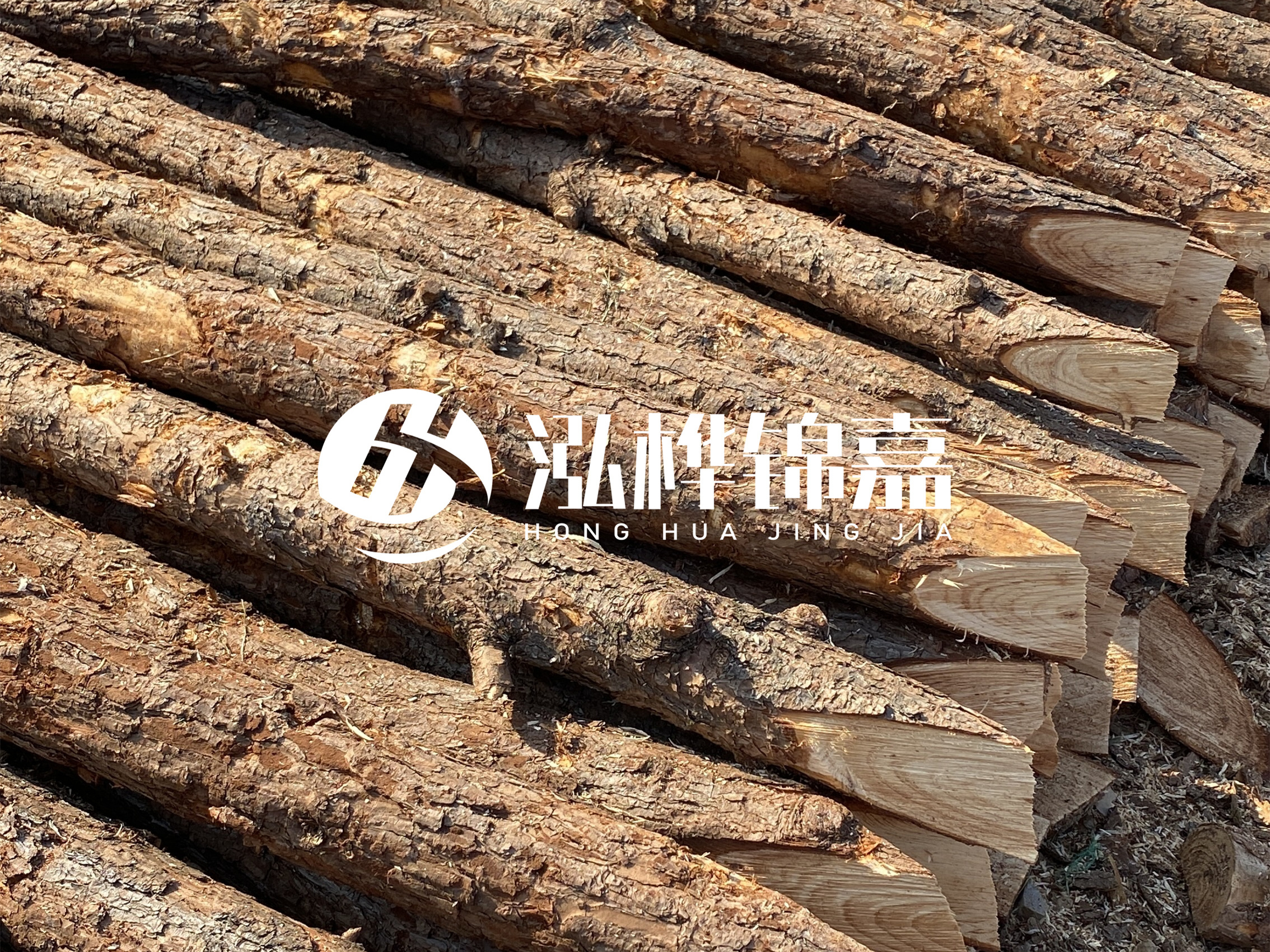8 米超大直徑松木樁的價格是多少？帶皮和去皮松木樁價格差多少？