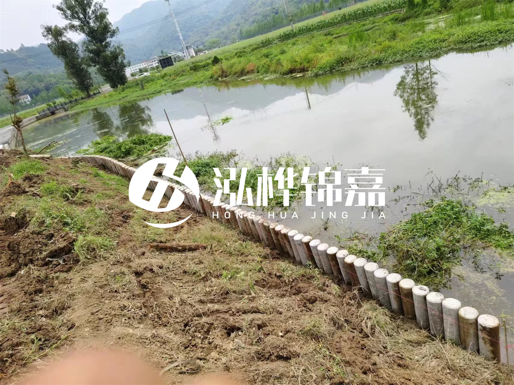 松木樁加固河道與水泥樁對比如何？哪一種更加適合您？