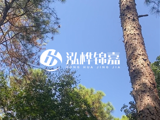 松木樁廠家的供貨能力強不強-怎么才能聯系到松木樁廠家？